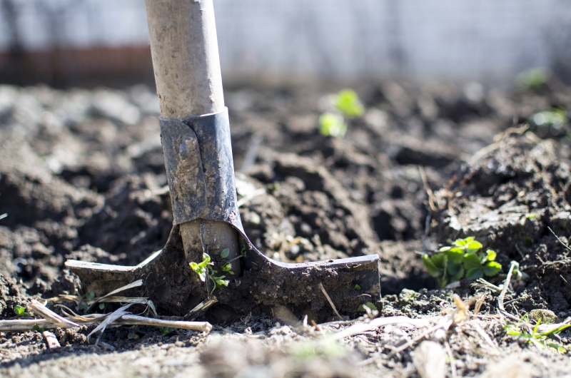 jardinerie-PIERREFEU DU VAR-min_equipment-2047314